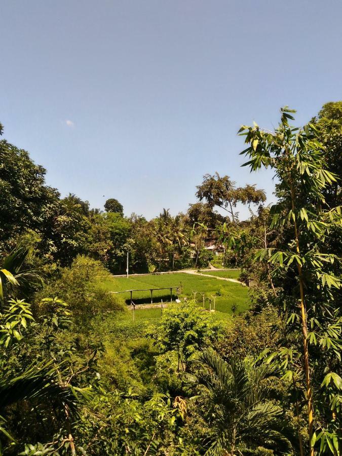 Prasanti Bed & Breakfast Ubud Exteriér fotografie